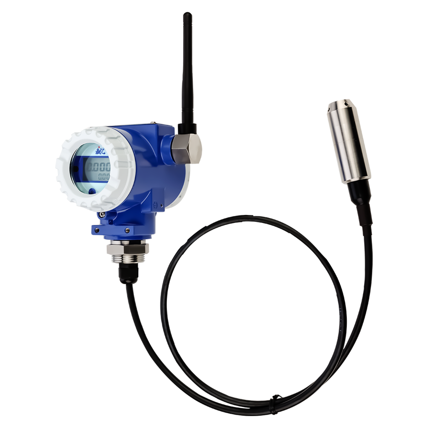 SWSN-L20投入式液位計(jì)